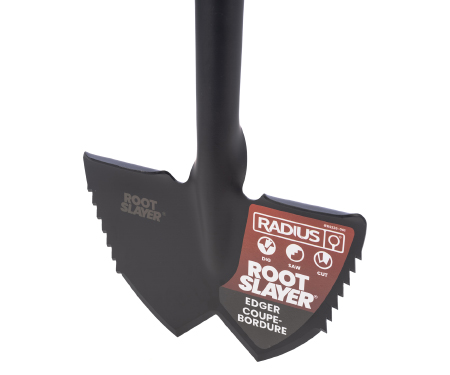 R02 RS226001
